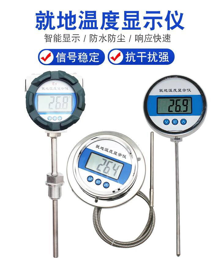 就地防爆溫度顯示儀